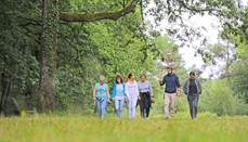 Se balader au bois de Saint-Pierre
